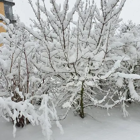 شقة Im Schwarzwald Mit Panorama Blick *