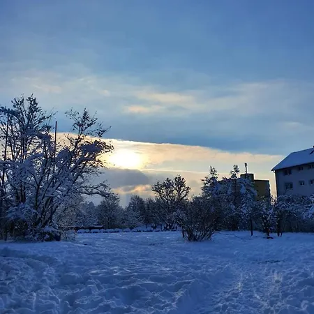 Im Schwarzwald Mit Panorama Blick *