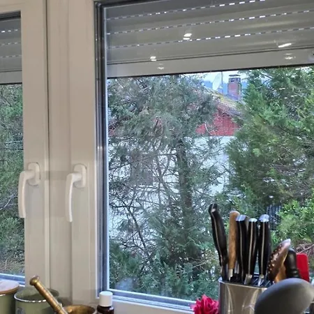 Im Schwarzwald Mit Panorama Blick *