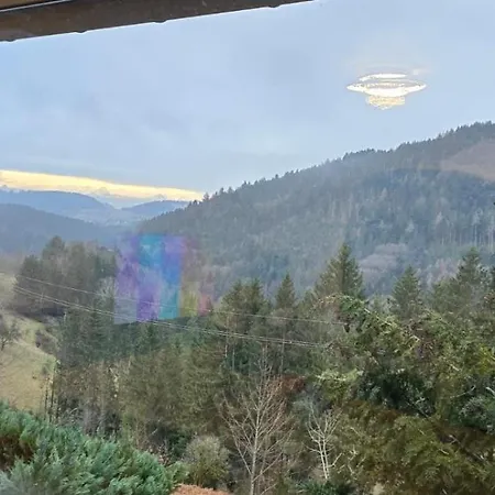 Im Schwarzwald Mit Panorama Blick