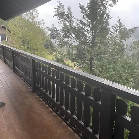 Apartment Im Schwarzwald Mit Panorama Blick Kleines Wiesental