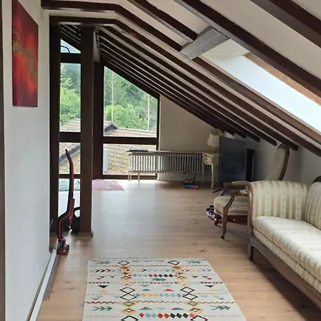 Im Schwarzwald Mit Panorama Blick Kleines Wiesental