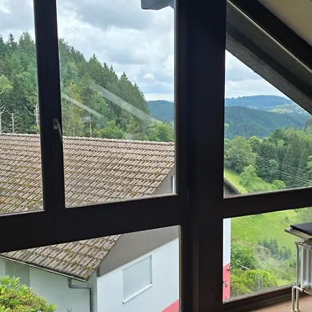 Im Schwarzwald Mit Panorama Blick