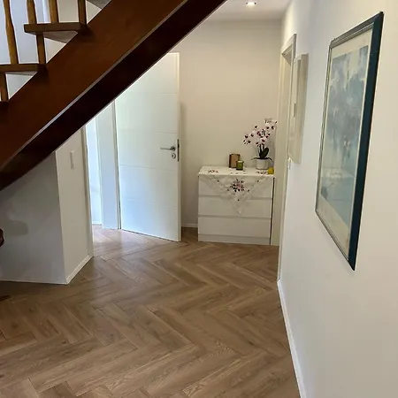 Im Schwarzwald Mit Panorama Blick