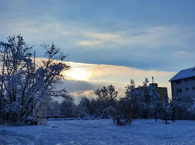 Im Schwarzwald Mit Panorama Blick *
