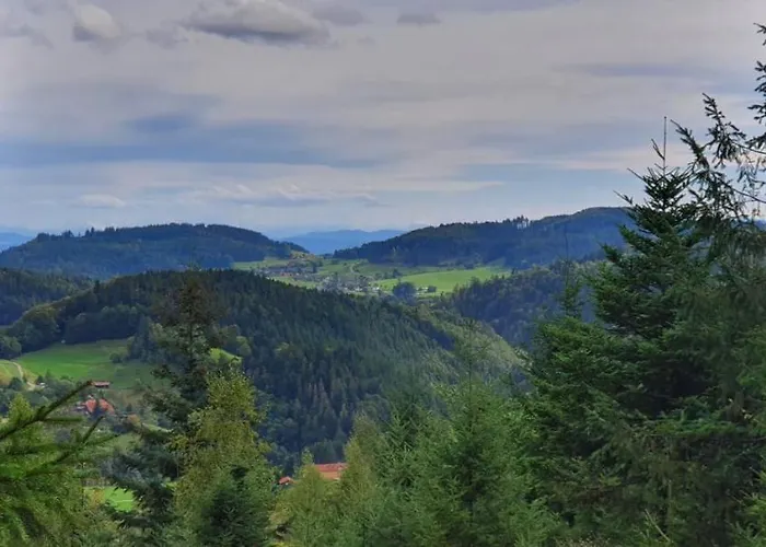 Im Schwarzwald Mit Panorama Blick Lägenhet Kleines Wiesental