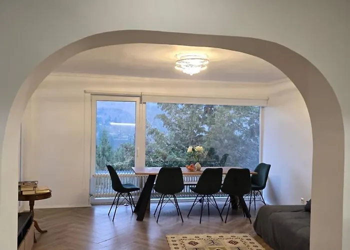 Im Schwarzwald Mit Panorama Blick *