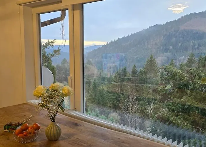 Im Schwarzwald Mit Panorama Blick Lägenhet