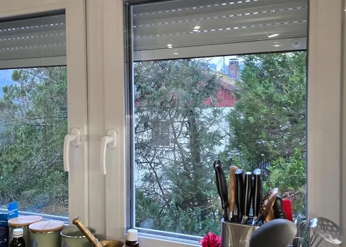 Im Schwarzwald Mit Panorama Blick *