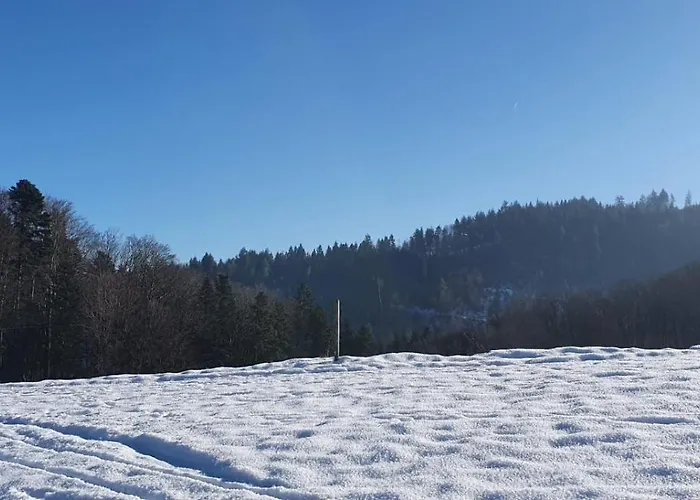 Lägenhet Im Schwarzwald Mit Panorama Blick *