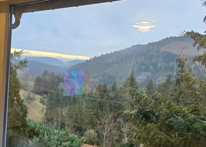 Im Schwarzwald Mit Panorama Blick