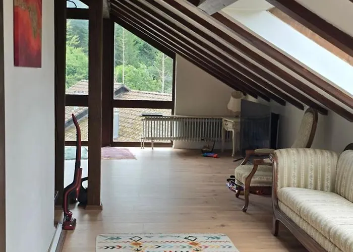 Im Schwarzwald Mit Panorama Blick Kleines Wiesental