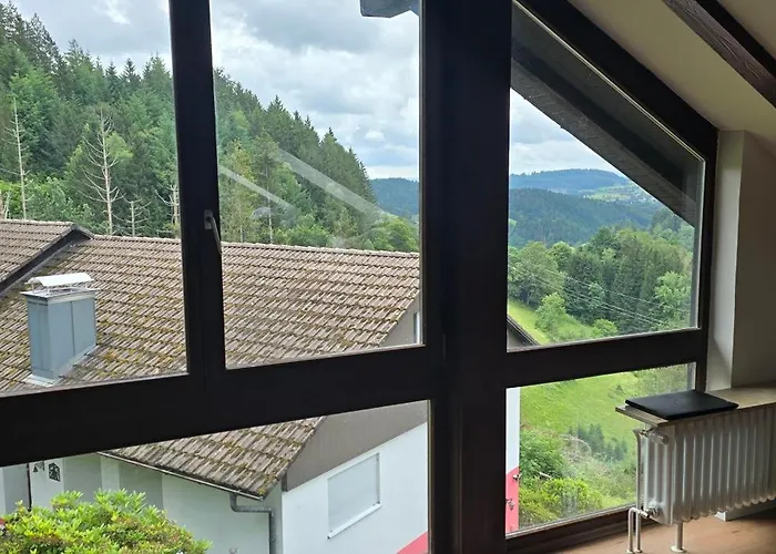 Im Schwarzwald Mit Panorama Blick