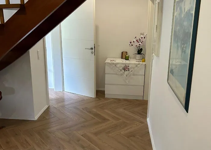 Im Schwarzwald Mit Panorama Blick