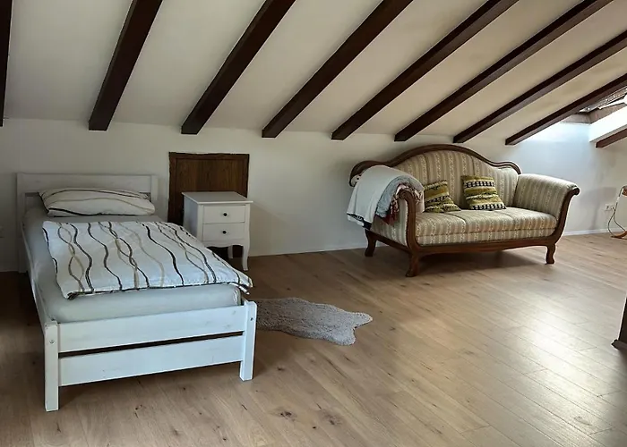 Im Schwarzwald Mit Panorama Blick