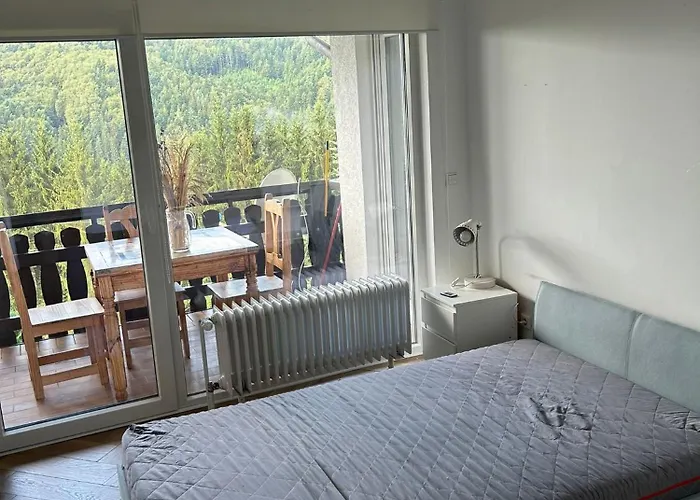 Im Schwarzwald Mit Panorama Blick Lägenhet Kleines Wiesental